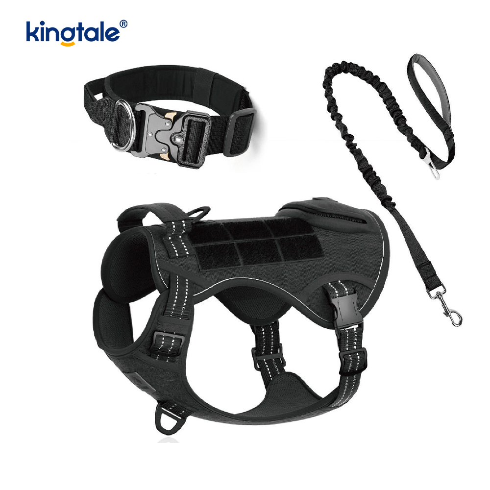 Ensemble de harnais de laisse de collier de chien sans traction en nylon d'entraînement avec contrôle