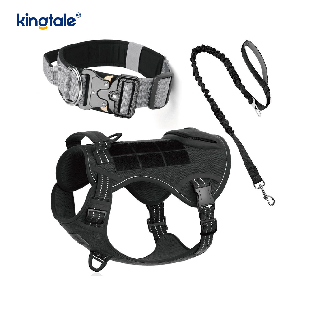 Ensemble de harnais de laisse de collier de chien sans traction en nylon d'entraînement avec contrôle