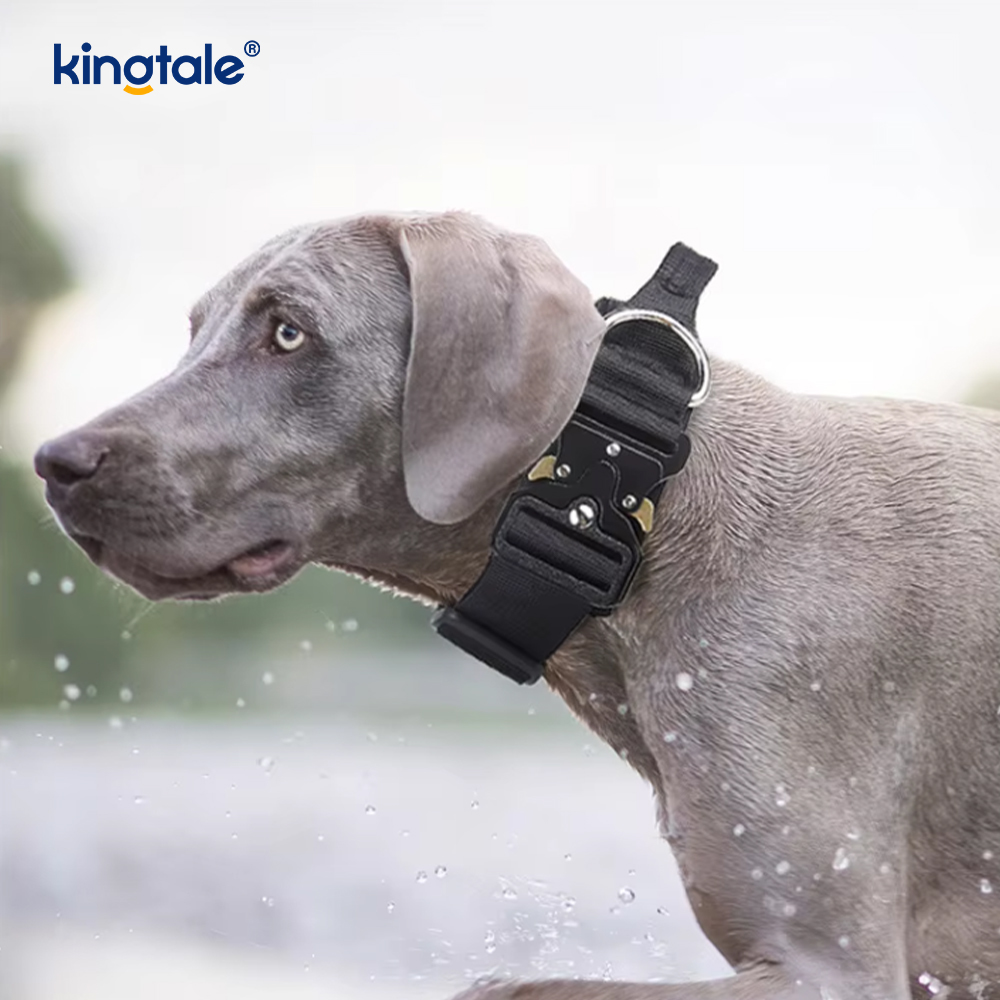 Ensemble de harnais de laisse de collier de chien sans traction en nylon d'entraînement avec contrôle