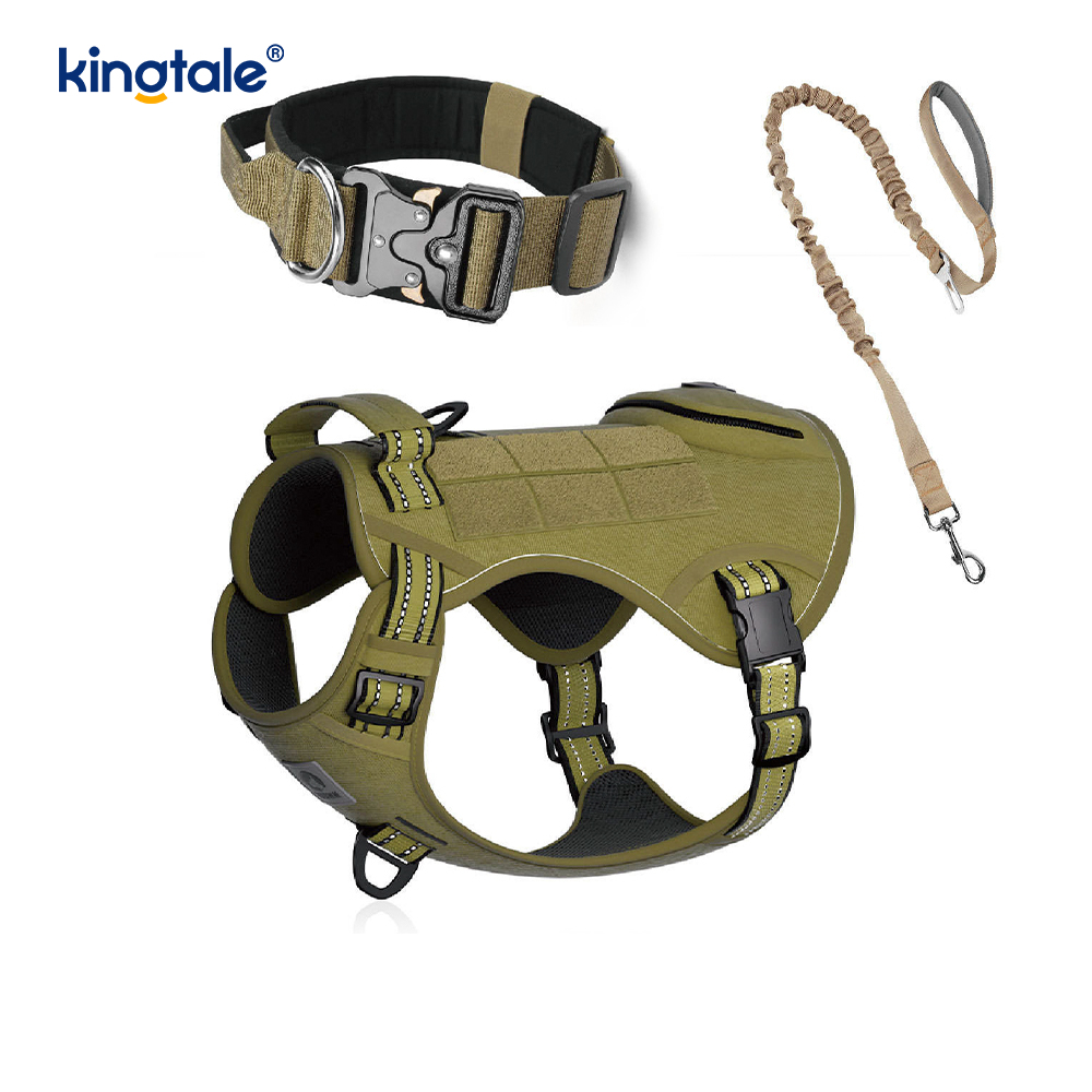 Ensemble de harnais de laisse de collier de chien sans traction en nylon d'entraînement avec contrôle