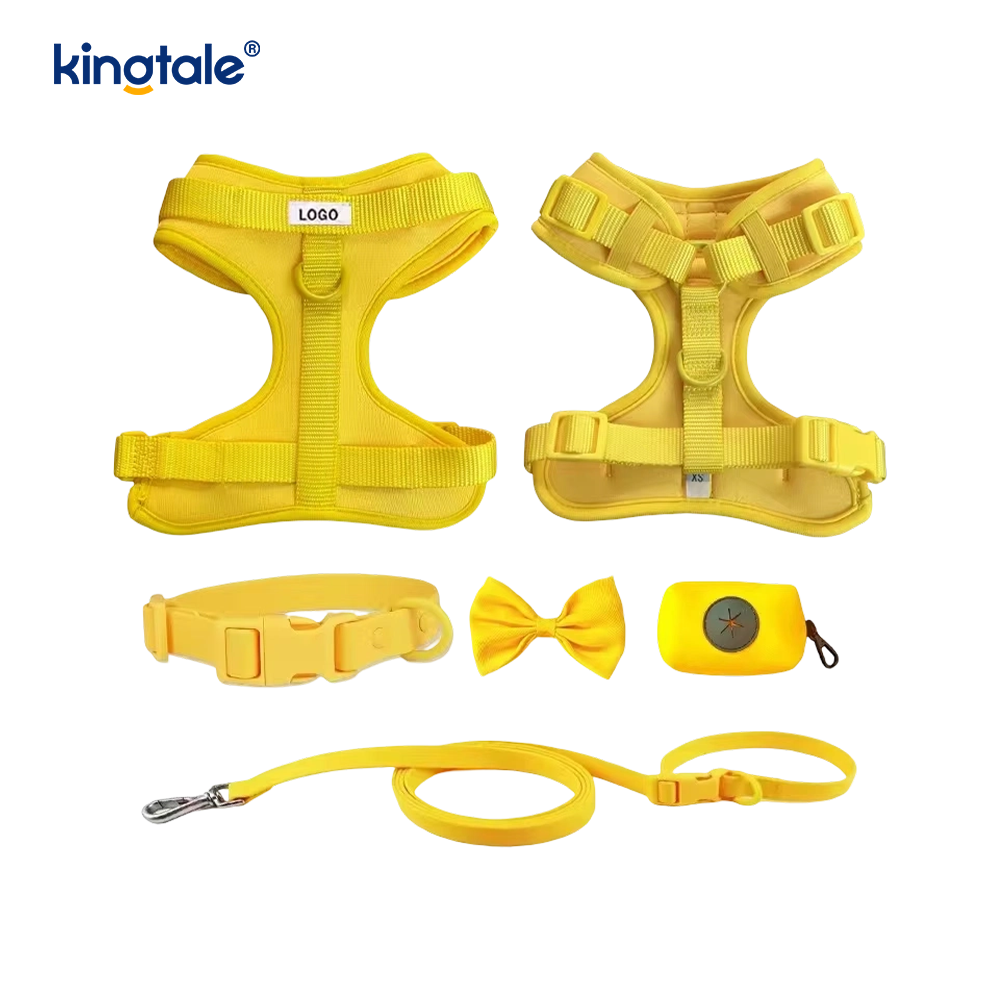 Collier léger de laisse de harnais de chien de PVC imperméable à l'eau sans traction