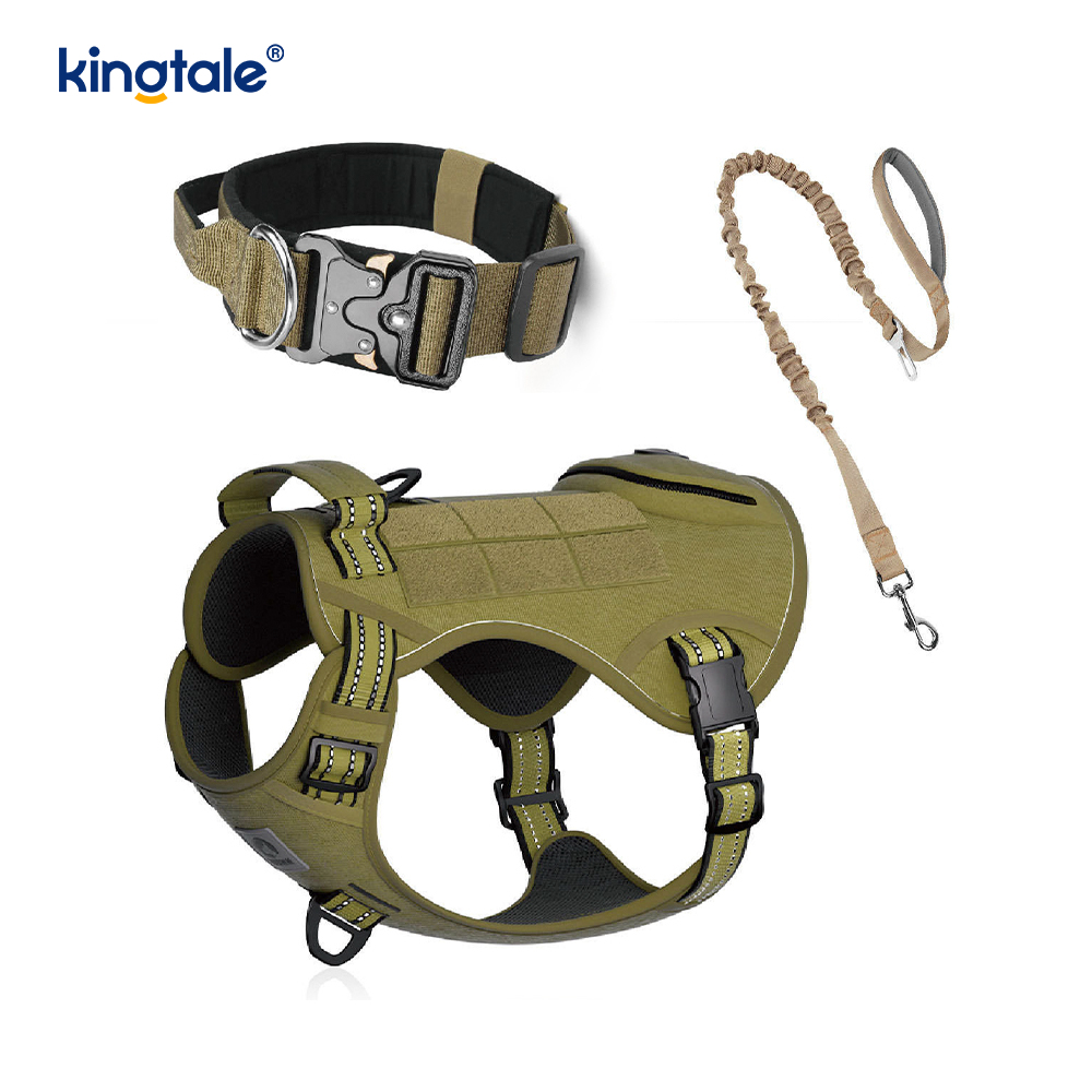 Ensemble de harnais de laisse de collier de chien sans traction en nylon d'entraînement avec contrôle