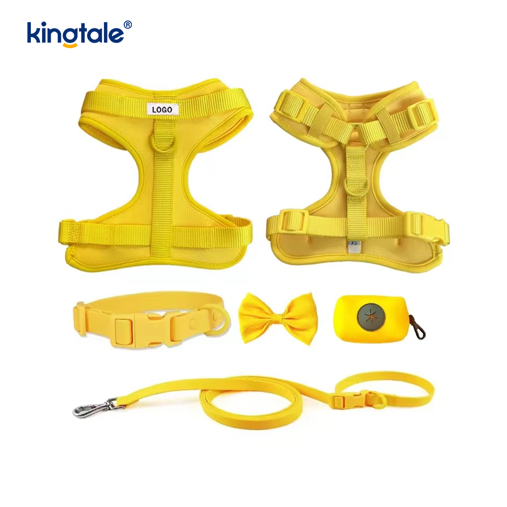 Collier léger de laisse de harnais de chien de PVC imperméable à l'eau sans traction
