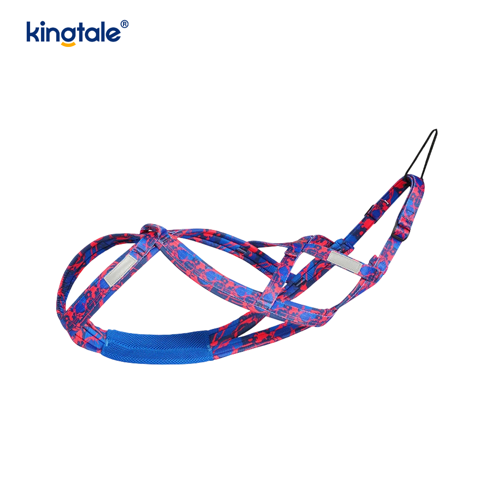 Harnais de traction pour chien Husky Mushing X Harnais arrière pour chiens
