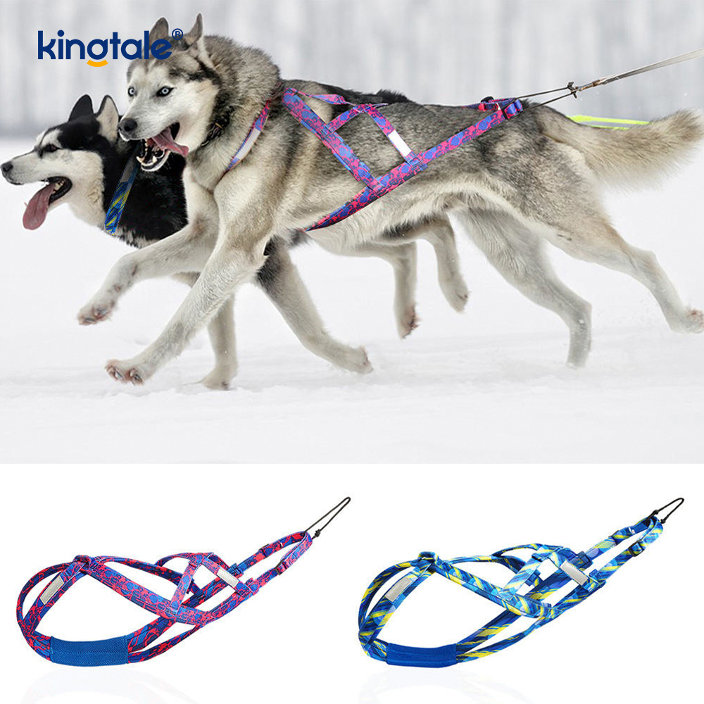 Harnais de traction pour chien Husky Mushing X Harnais arrière pour chiens
