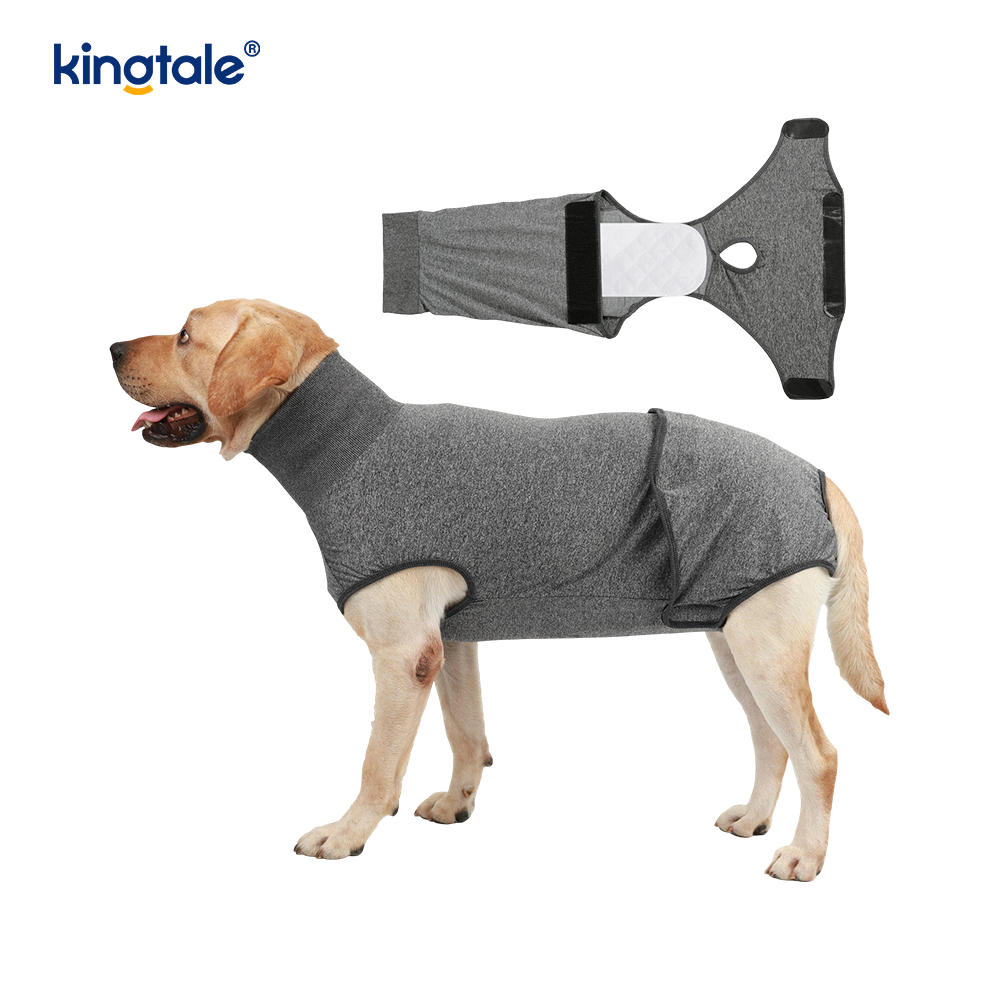 Combinaison de récupération pour chien, vêtements chirurgicaux pour plaie abdominale, gilet postopératoire pour chiot