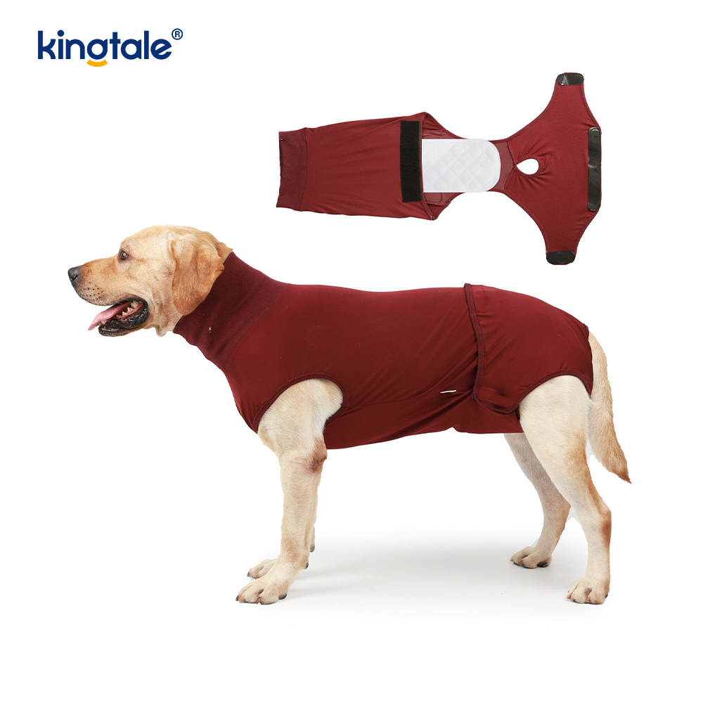 Combinaison de récupération pour chien, vêtements chirurgicaux pour plaie abdominale, gilet postopératoire pour chiot