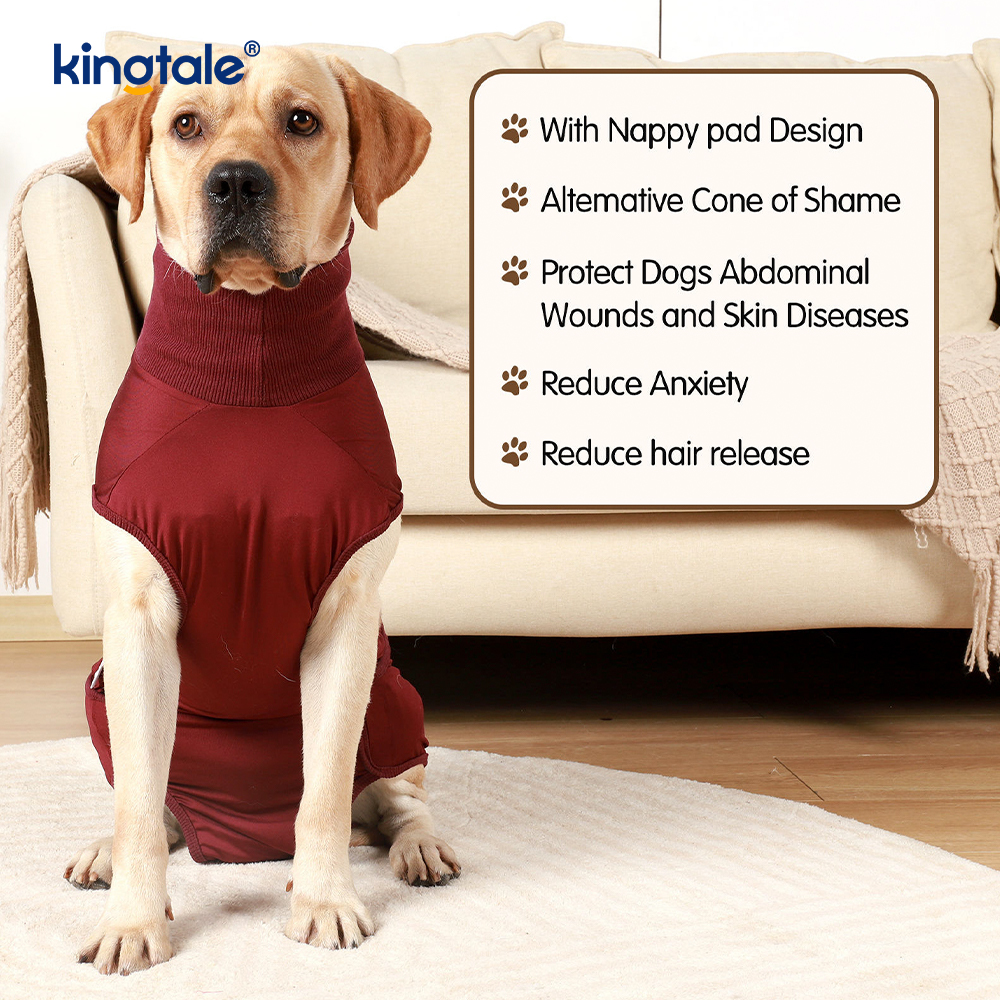 Combinaison de récupération pour chien, vêtements chirurgicaux pour plaie abdominale, gilet postopératoire pour chiot