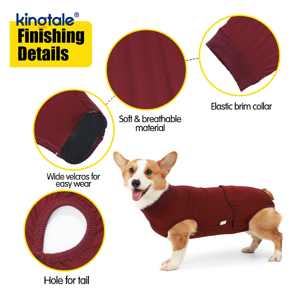 Combinaison de récupération pour chien, vêtements chirurgicaux pour plaie abdominale, gilet postopératoire pour chiot